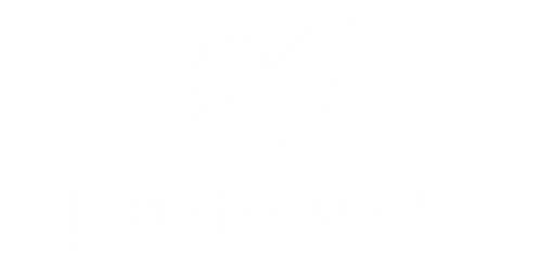 PAGINA WEB COLOMBIA